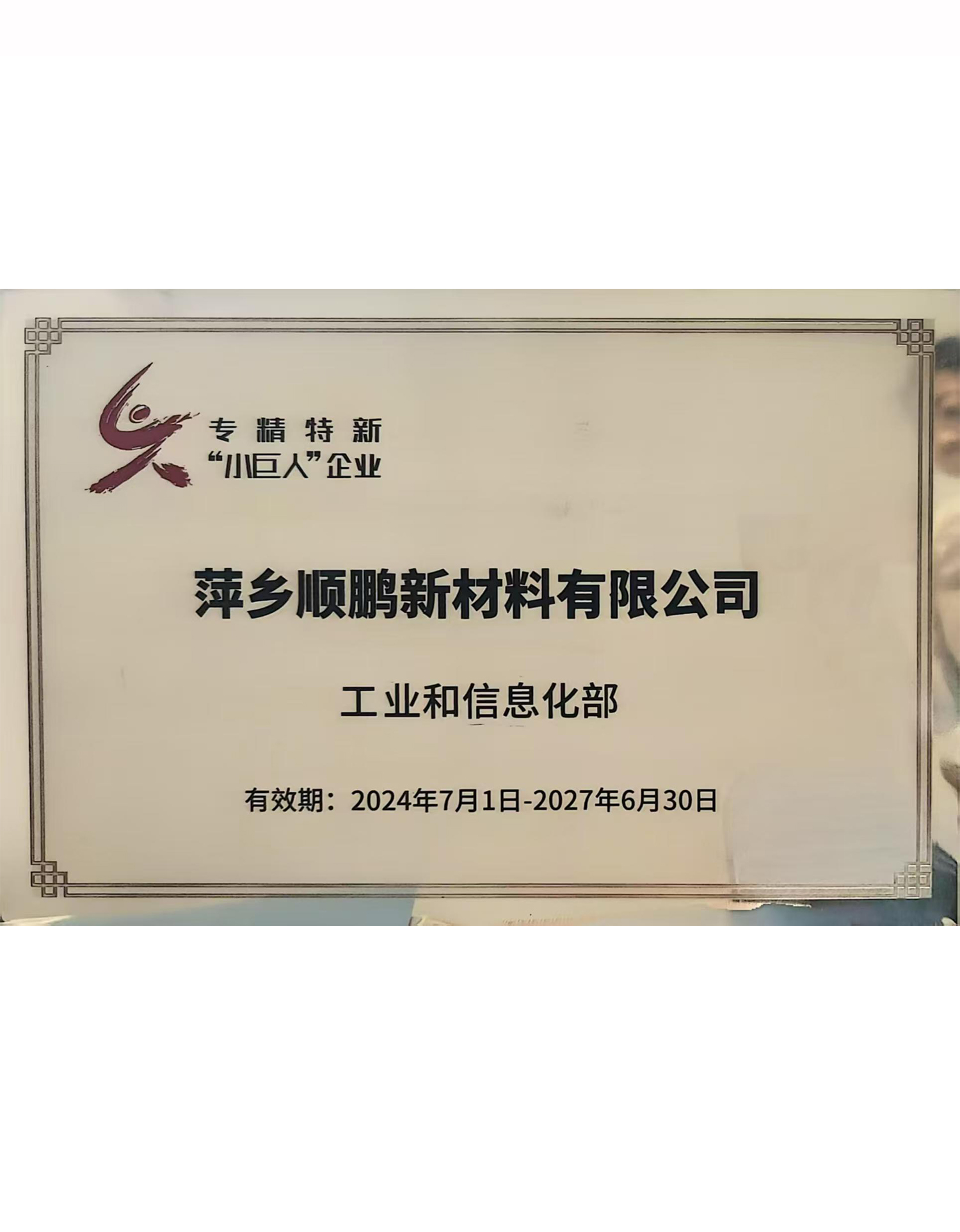 國(guó)家專精特新小巨人企業(yè)